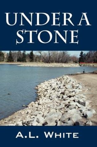 Cover of Under a Stone