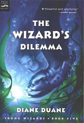Book cover for The Wizard's Dilemma