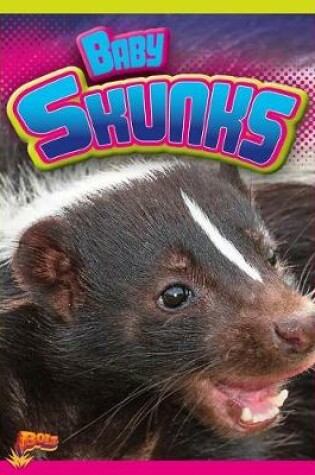 Cover of Baby Skunks