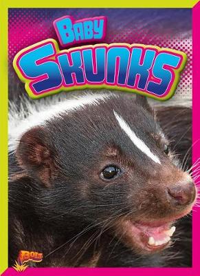 Book cover for Baby Skunks