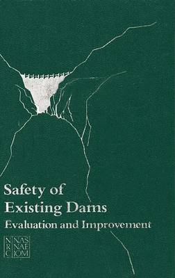 Book cover for Safety of Existing Dams