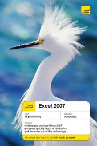 Cover of Teach Yourself Excel 2007