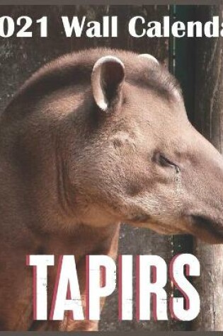 Cover of tapirs 2021 wall calendar