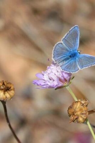 Cover of Flowers and a Blue Butterfly Journal