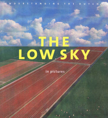 Book cover for The Low Sky in Pictures