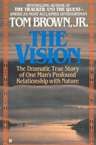 Cover of The Vision