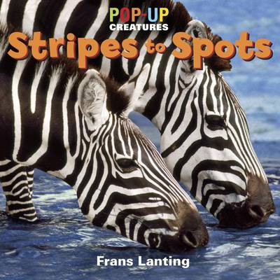 Book cover for Pop-Up Creatures: Stripes to Spots