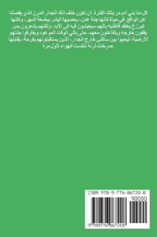 Cover of صفحات من خلف الجدار