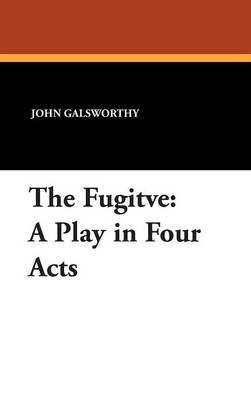 Book cover for The Fugitve