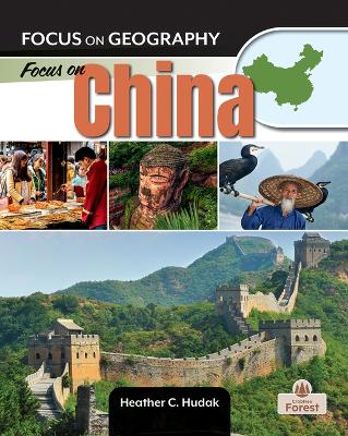 Book cover for Focus on China