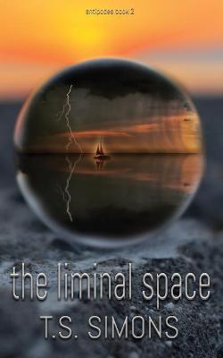 Book cover for The Liminal Space