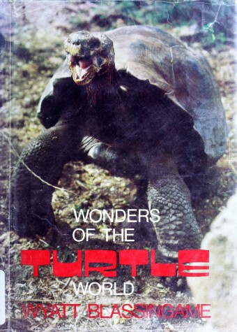 Book cover for Wonders of the Turtle World