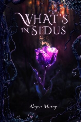 Cover of What's In Sidus