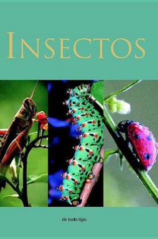 Cover of Insectos