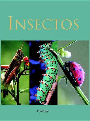 Book cover for Insectos