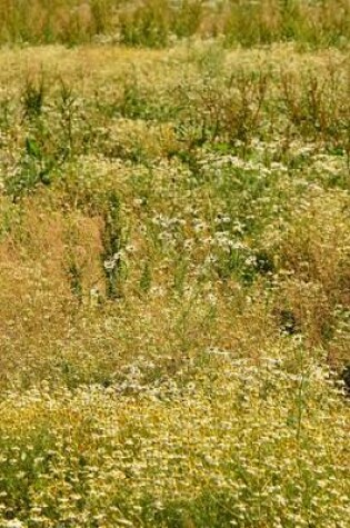 Cover of Chamomile Tea Field