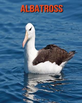 Book cover for Albatross