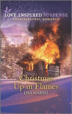 Book cover for Christmas Up in Flames