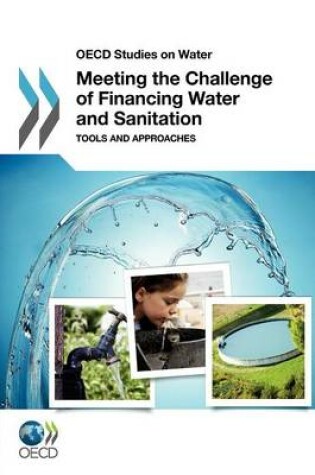 Cover of Meeting the Challenge of Financing Water and Sanitation