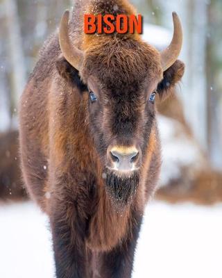 Book cover for Bison