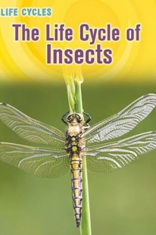 Cover of Life Cycle of Insects (Life Cycles)