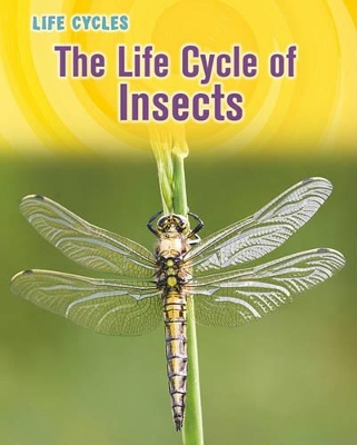 Book cover for Life Cycle of Insects (Life Cycles)