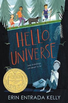 Book cover for Hello, Universe