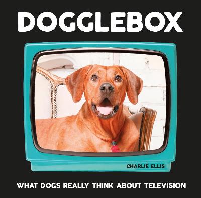 Book cover for Dogglebox