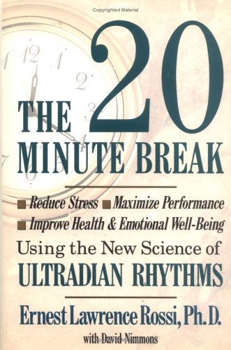 Book cover for The 20-minute Break