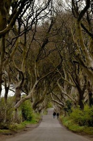 Cover of A View of the Dark Hedges Ireland Journal