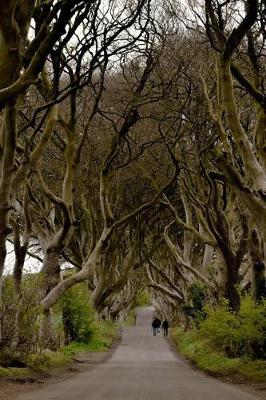 Book cover for A View of the Dark Hedges Ireland Journal