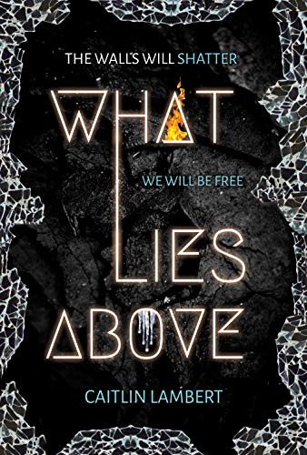 Book cover for What Lies Above