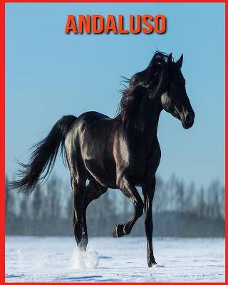 Book cover for Andaluso