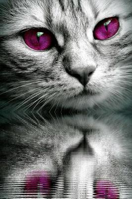 Book cover for Kitty Cat with Purple Eyes Journal