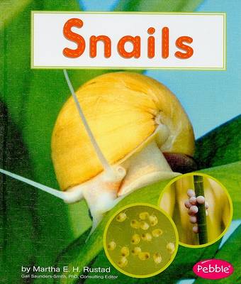 Book cover for Snails