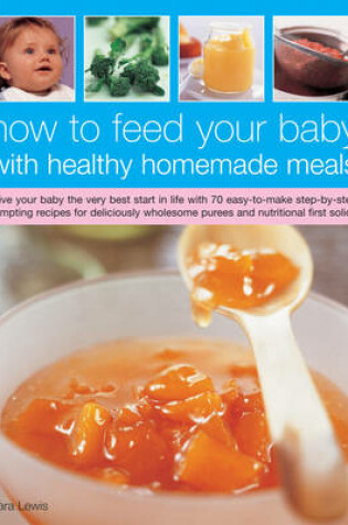 Cover of How to Feed Your Baby with Healthy Homemade Meals
