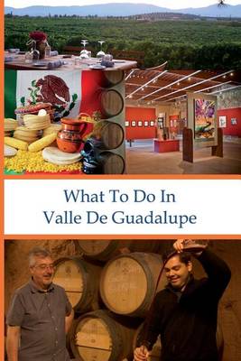 Book cover for What To Do In Valle De Guadalupe