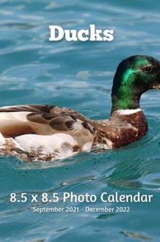 Cover of Ducks 8.5 X 8.5 Calendar September 2021 -December 2022