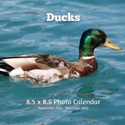 Book cover for Ducks 8.5 X 8.5 Calendar September 2021 -December 2022