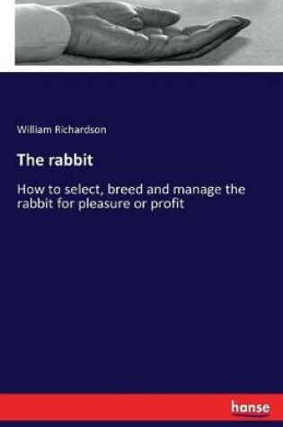 Cover of The rabbit