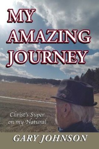 Cover of My Amazing Journey