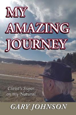 Book cover for My Amazing Journey