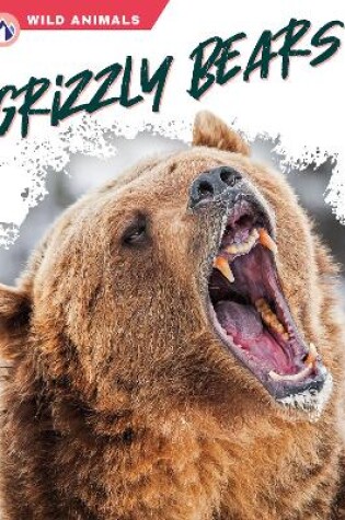 Cover of Grizzly Bears