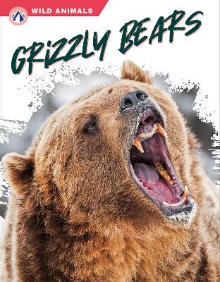 Book cover for Grizzly Bears