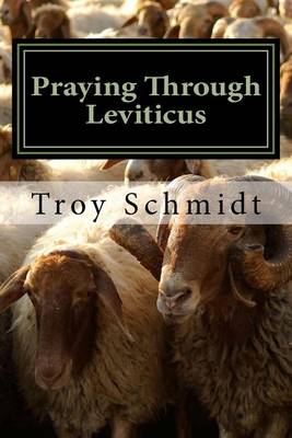 Book cover for Praying Through Leviticus