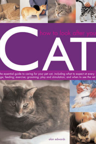 Cover of How to Look After Your Cat