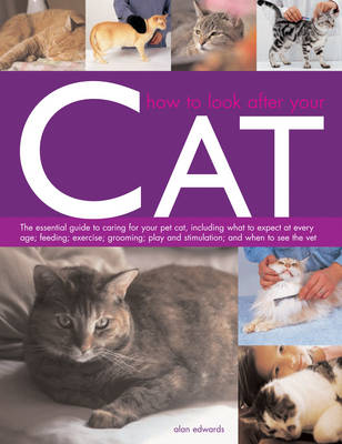 Book cover for How to Look After Your Cat