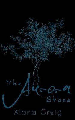 Book cover for The Aurora Stone