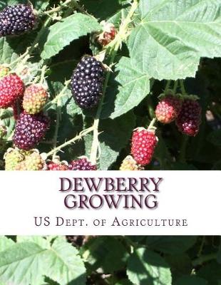 Book cover for Dewberry Growing