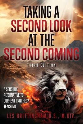 Book cover for Taking a 2nd Look at the 2nd Coming